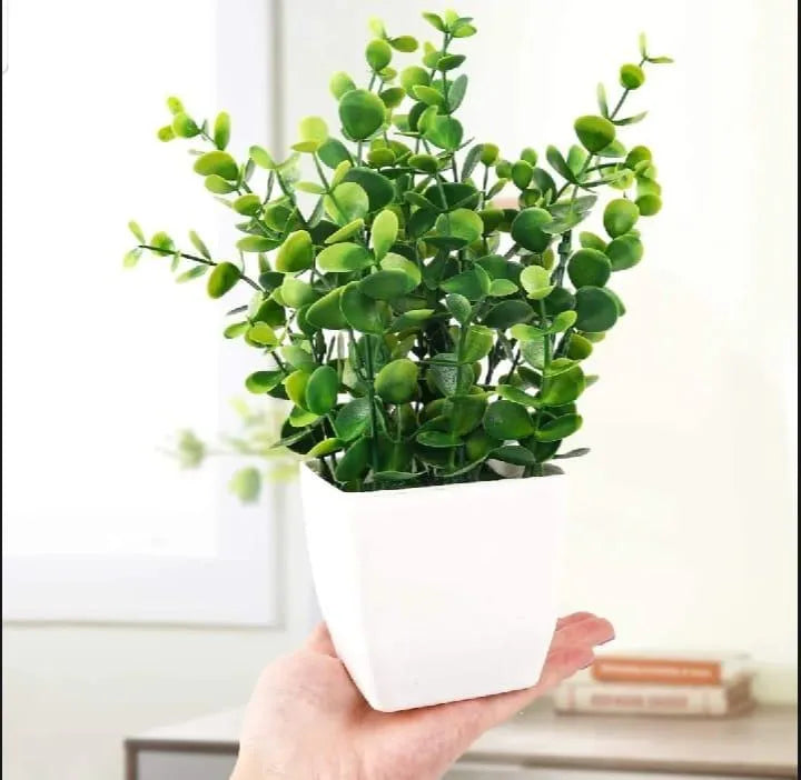 1 Pc Planter For Decoration